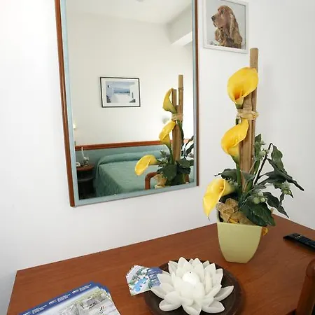 Hotel Vannini Rimini
